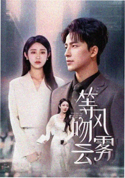 7512电影网 片单图鉴条目:长坡(行业剧集)